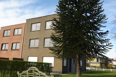 Gezellig appartement in een klein appartementcomplex