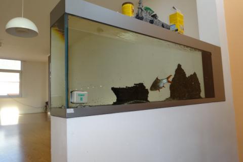VERHUURD !!! Zeer ruim duplex appartement met ruim dakterras