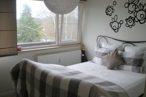 Leuk gerenoveerd dakappartement