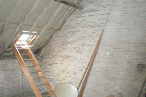 Ruim en karaktervol herenhuis met zicht op het Zuidpark