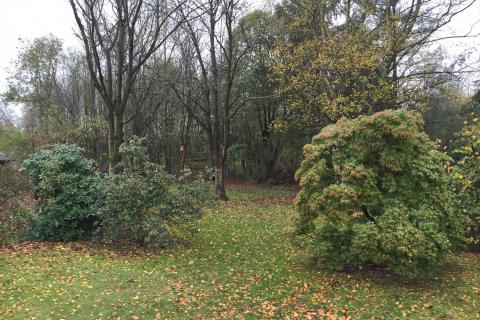 zuidelijk gerichte bungalow op mooi perceel met zicht op de weilanden
