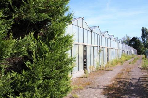 ( OPTIE ) Op te frissen villa met prachtige stukken grond 