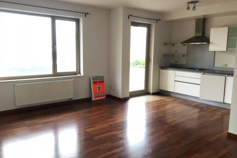 Drongen, rustig gelegen éénslaapkamerappartement
