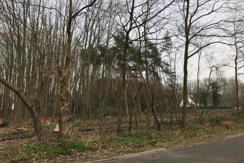Woonpark "De Bommels"