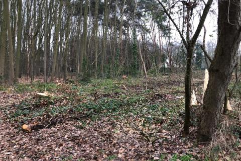 Woonpark "De Bommels"