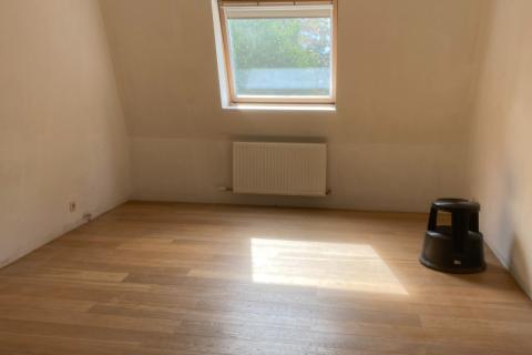Zeer ruim dakappartement met aangenaam terras
