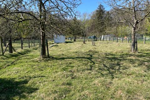 Ruime half open bebouwing met mooie grote tuin, terras en garage in Merelbeke-Melle, 4 slaapkamers, 