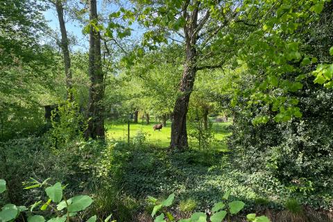 Perceel bouwgrond te Heusden/Destelbergen met zuidgerichte tuin op perceel van 1420.00m²