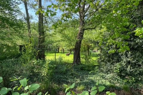 Perceel bouwgrond te Heusden/Destelbergen met zuidgerichte tuin op perceel van 1128m²