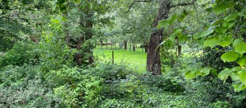 Perceel bouwgrond te Heusden/Destelbergen met zuidgerichte tuin op perceel van 1420.00m²